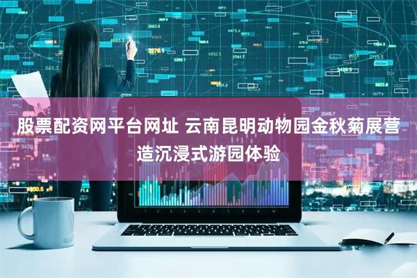 股票配资网平台网址 云南昆明动物园金秋菊展营造沉浸式游园体验